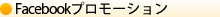 Twitterプロモーション