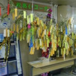 7/4（火)　【コラムの森】　七夕★★★★★
