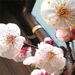 3/1（木）【コラムの森】神保町に春が来た