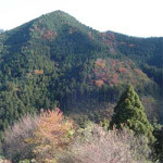 12月8日（土）【コラムの森】エコエコ。