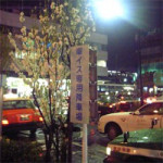 4/8（火）【コラムの森】車イス専用のタクシー降り場