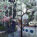 4/9（水）　【神保町でこれはかわいい！】この木何の木気になる木～♪
