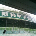 11月２９日（土）　甲子園へＧＯ！！
