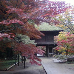 １１／１８（水）【素晴らしい】古寺紅葉