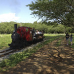 5/7（月）21世紀によみがえる軽便鉄道