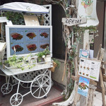 8月28日（火）Green、、