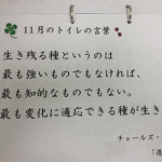 　9/4(水)　トイレの言葉