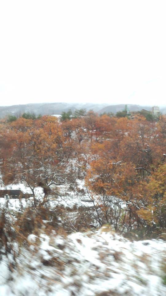aizu2