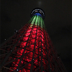 1 6 火 年末年始の振り返り スタッフブログ