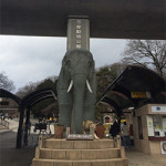 2015年1月28日(水)　☆多摩動物公園☆