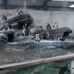 2015年2月23日(月)水族館に行ってきました。