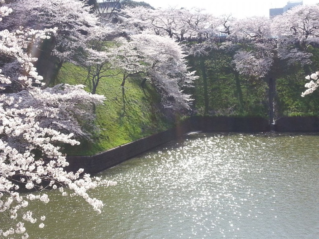 ふち
