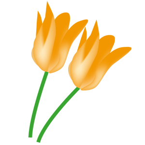 04