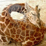 4月5日(火)　快眠の為に必要なこと　ベスト３！！