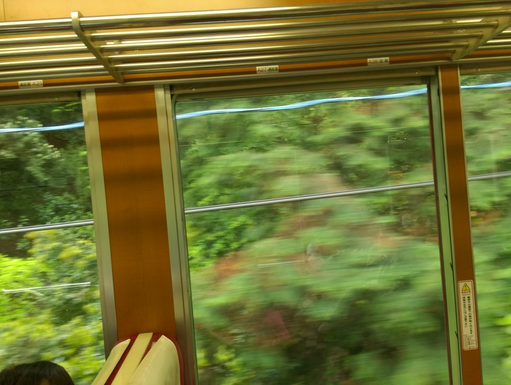 登山電車はこの急坂を登る