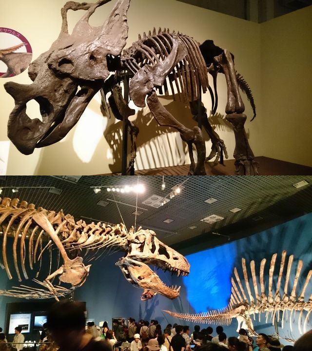 恐竜博