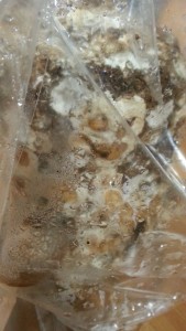 20160305_221641