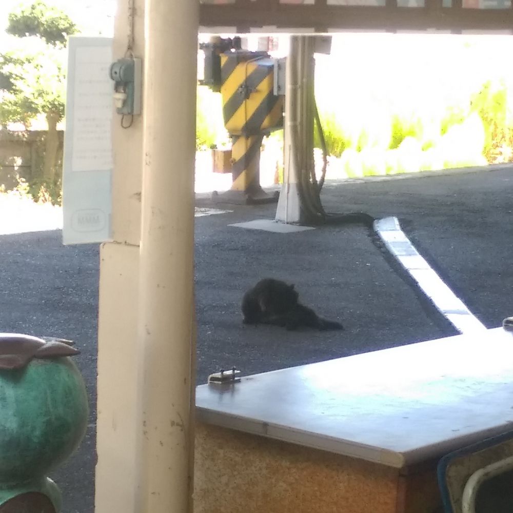 おさむ(那珂湊駅長)