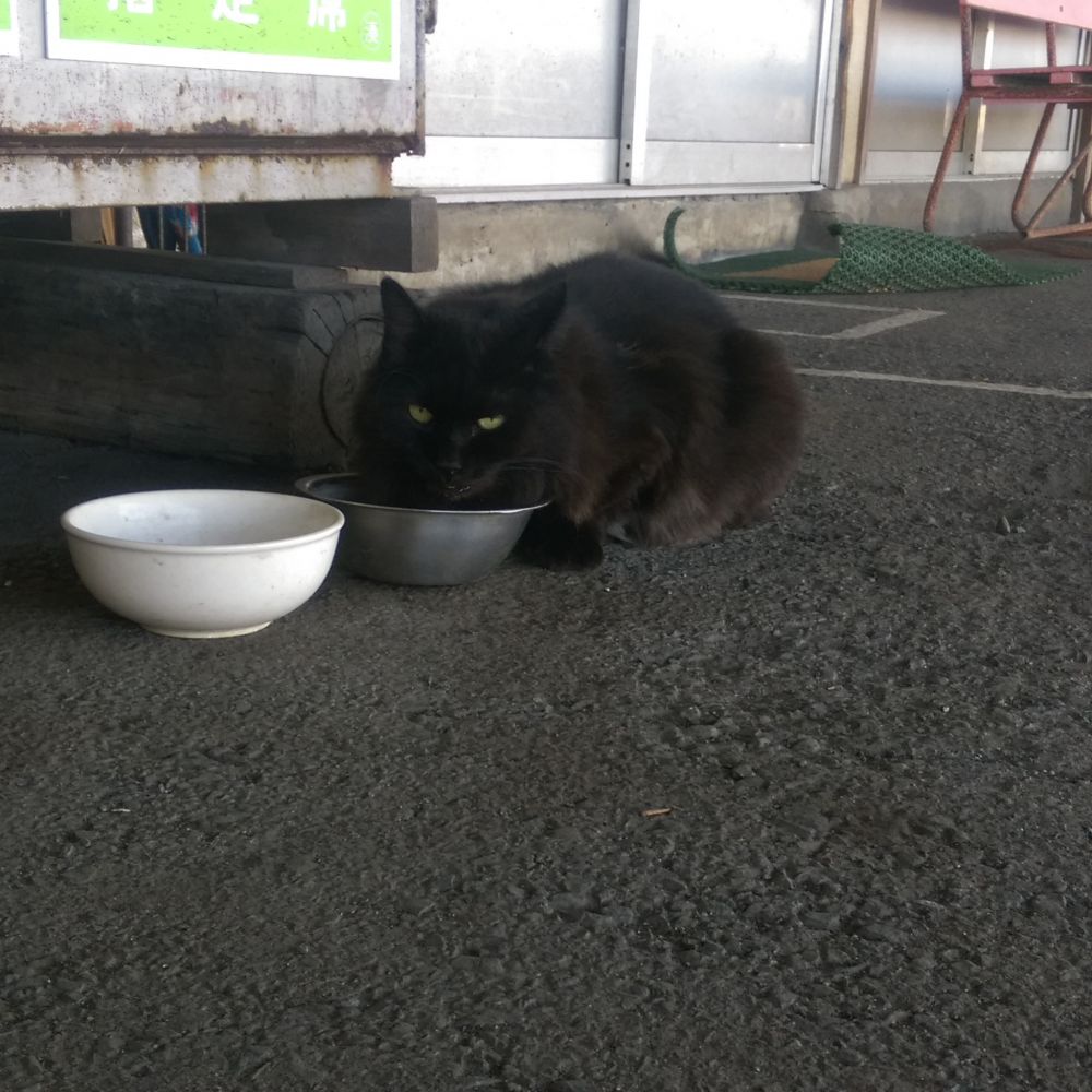 おさむ(那珂湊駅長)
