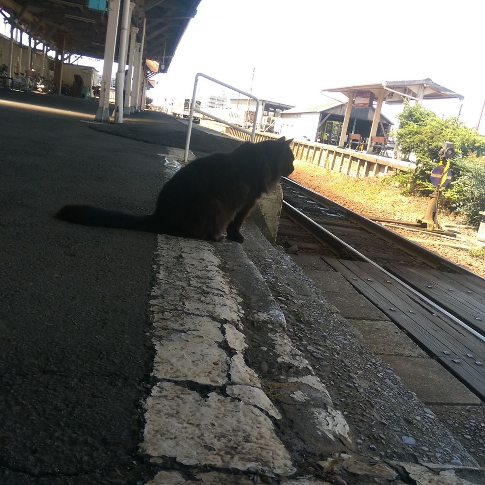 おさむ(那珂湊駅長)