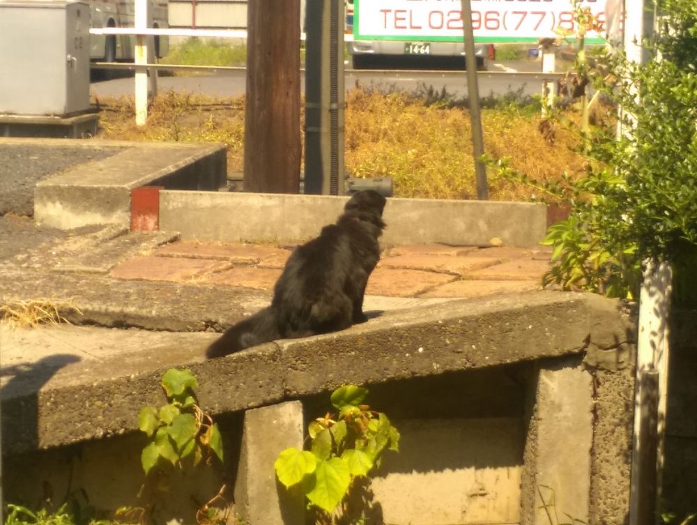 おさむ(那珂湊駅長)