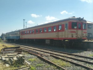 IMAG0293