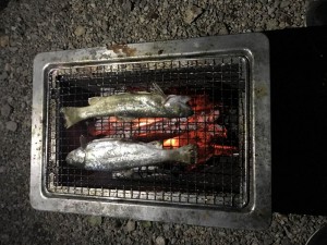 img_0020