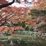12/14（水）日比谷公園