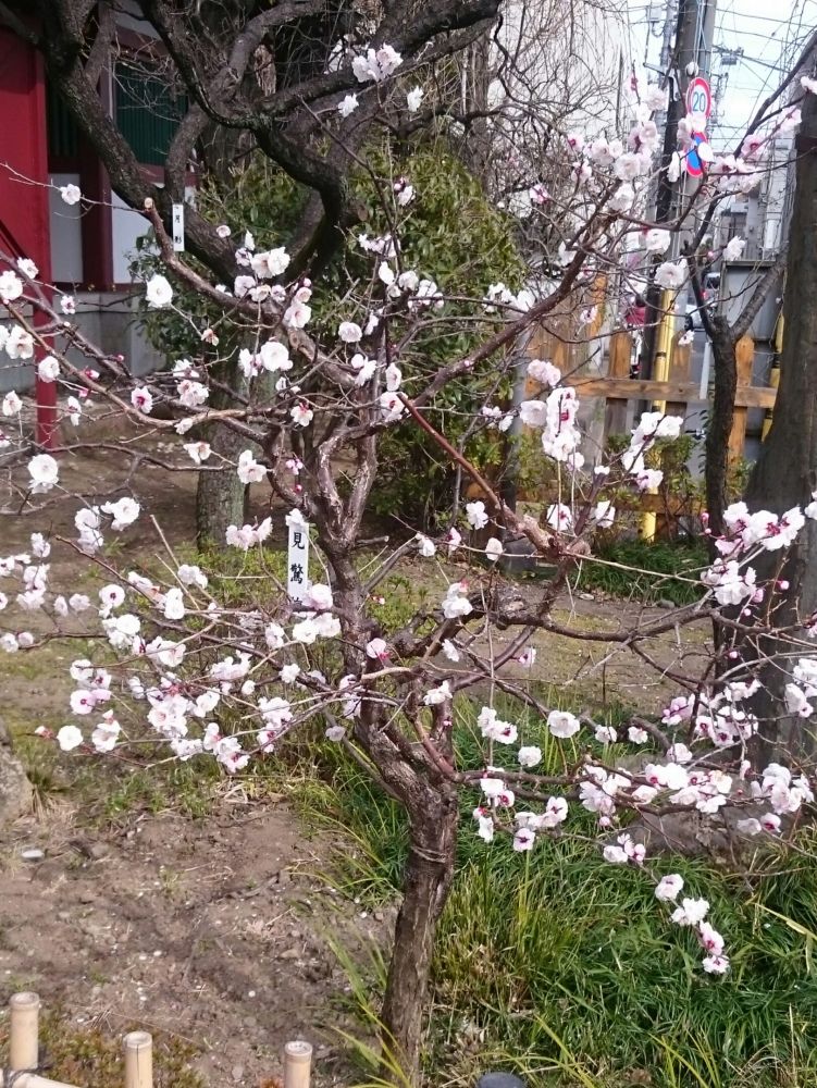20170329-4