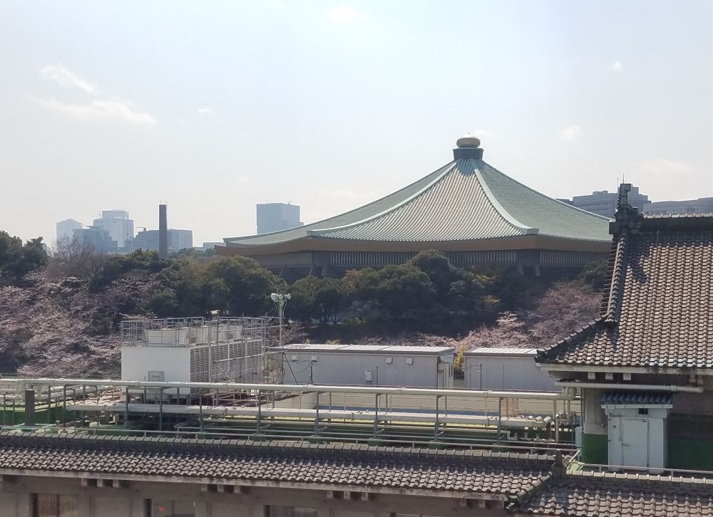 20170403_武道館桜