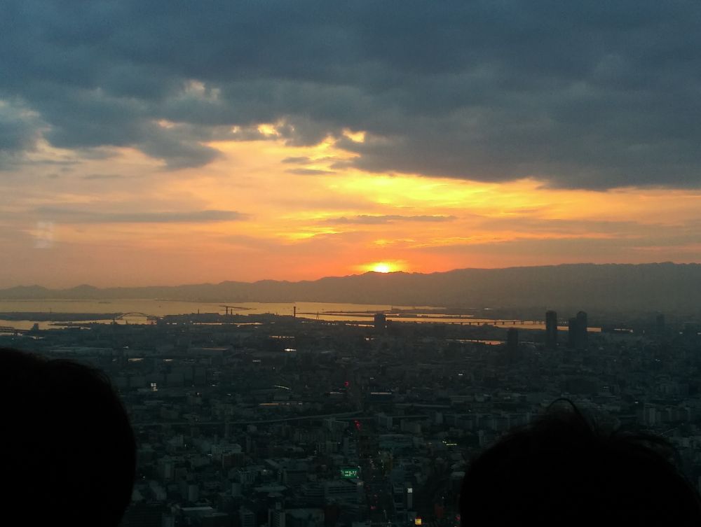 IMAG2529