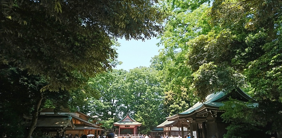 氷川神社2