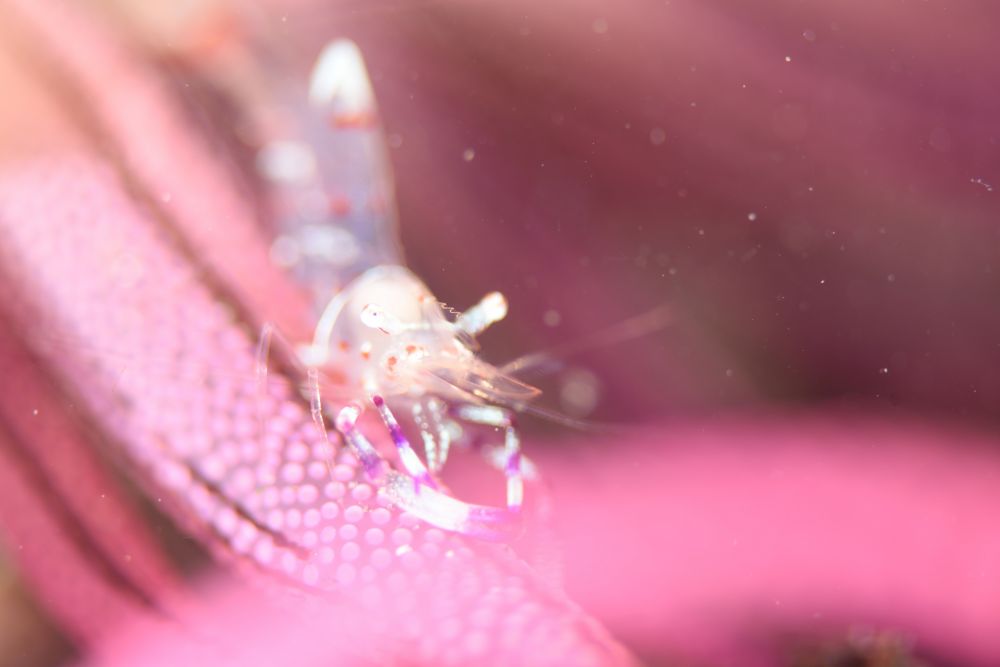 20170619_004