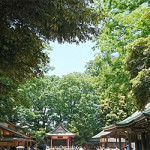 6/8（木）　埼玉県川越の氷川神社に行ってきました～♪
