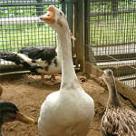 9/28（木）　お食い初め♪