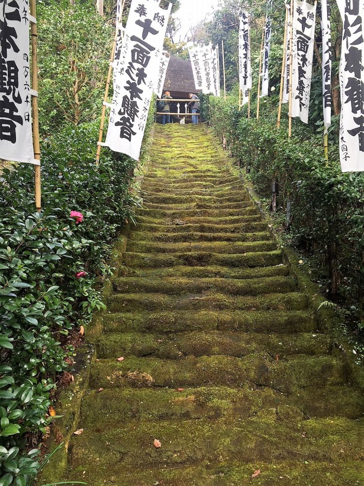 sugimotokaidann