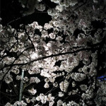 4/23（月）また来年を待ちわびて