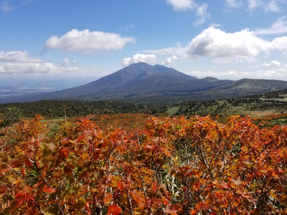 20180923_102824