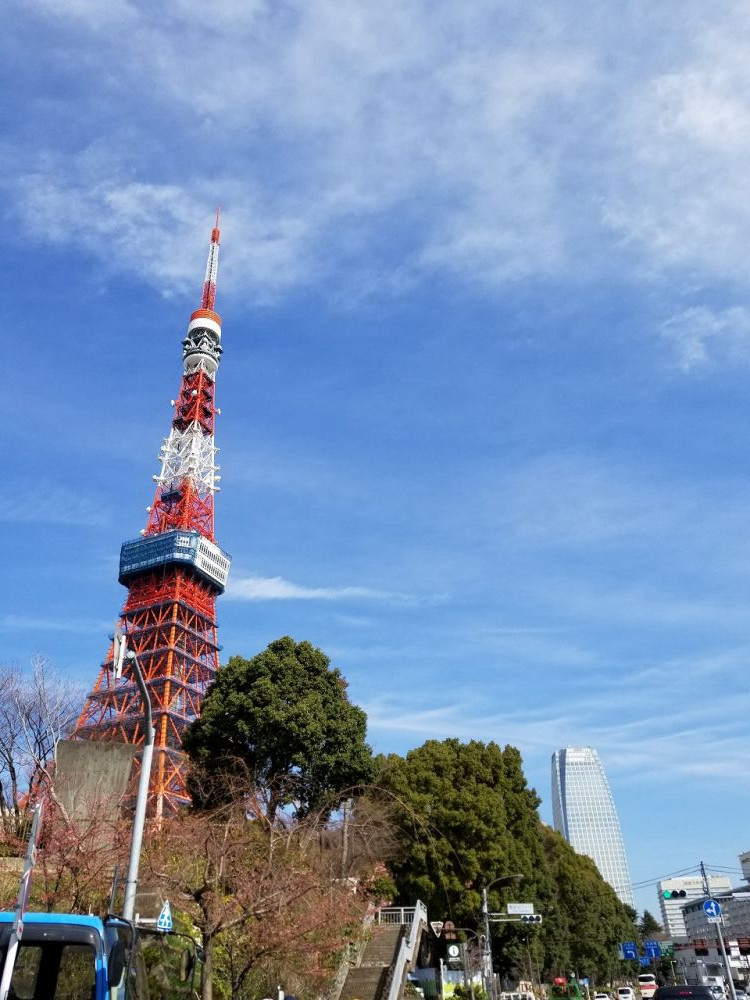 20190222_095558