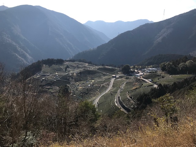 image2