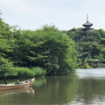 5/15(水) 水墨画のような風景