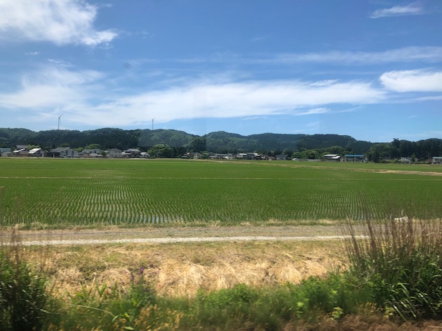 あきたこまち