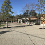 1/29(水)孔雀が羽を広げた at 清水公園