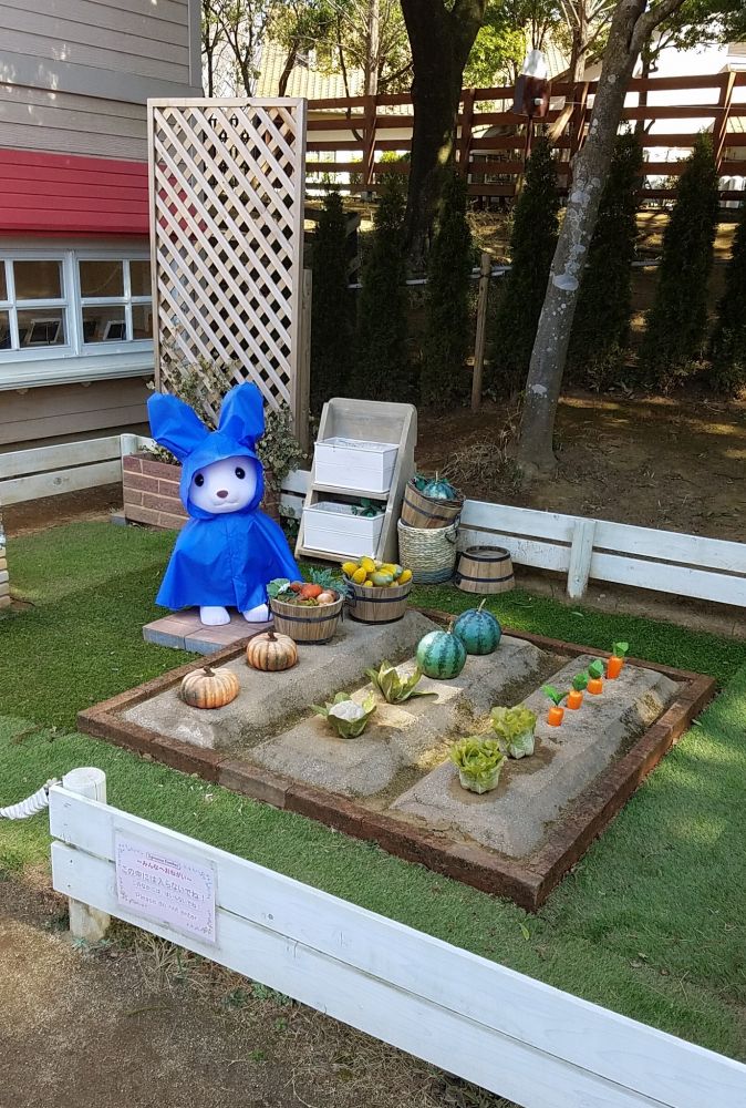 野菜畑