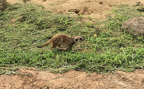 ブログ2