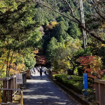 12/11（金）紅葉の渓谷を訪ねて