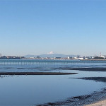 1/7（木）富士山