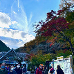 11/11(木)高尾山 第2弾