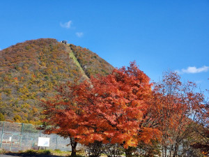 20201029_103738_copy_1280x960