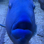 4/27（水）水族館とラーメンとゲームと私
